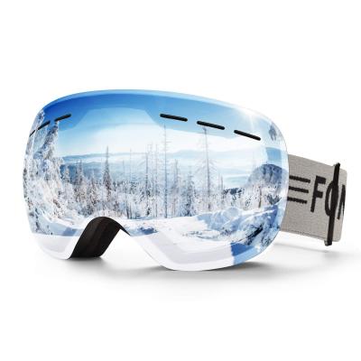 Ski Goggles Silver-Vlt 13.5%  