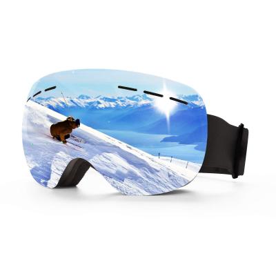 Ski Goggles Silver2-Vlt 13.5%